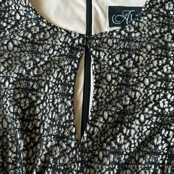 Alex Evenings All Over Lace A-Line Gown Dress Black Nude Size 14 - Picture 11 of 11